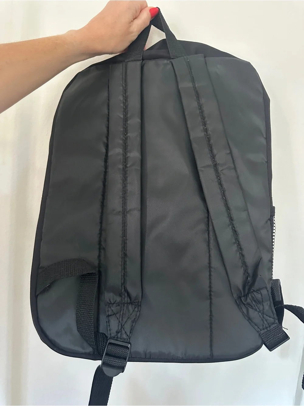 Sierra Club backpack
